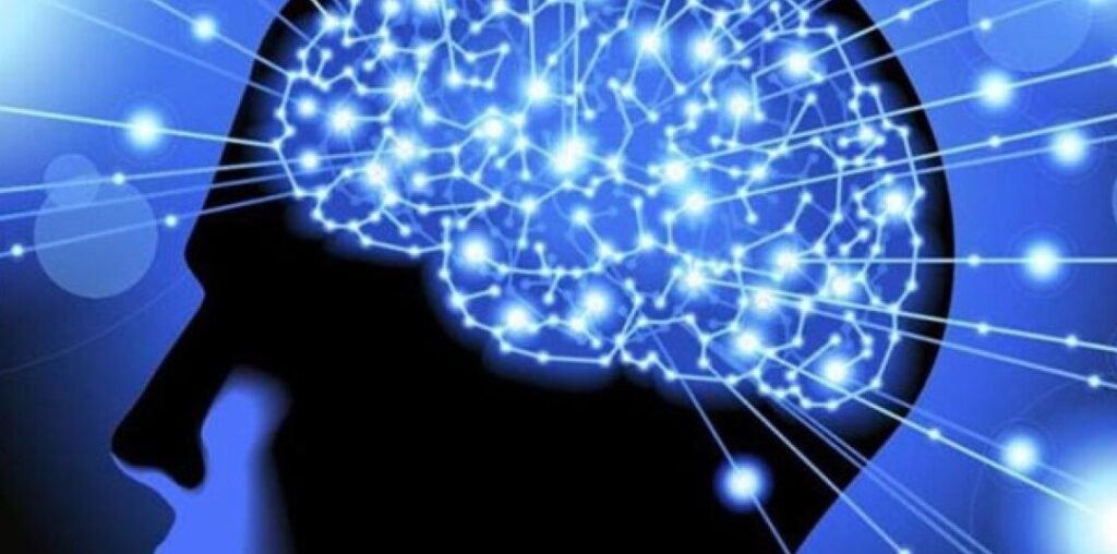 ALZHEIMER memory brain