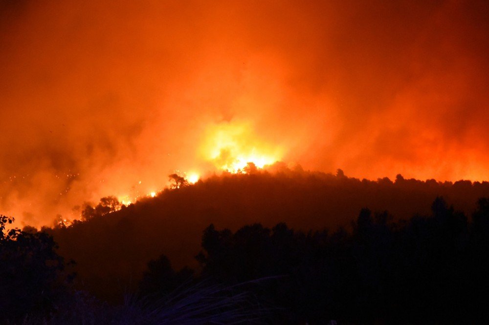 fire forest pyrosv