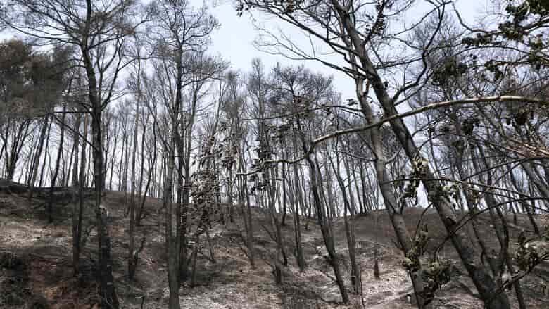 fire pyrosvest kamena-min(1)