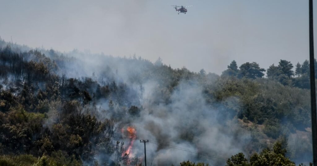 fire pyrosvestiki