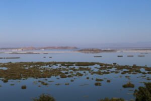 KARLA LAKE