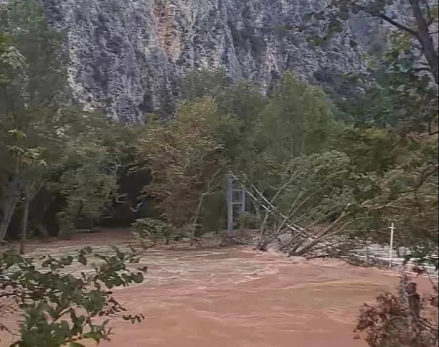 gefyra-min