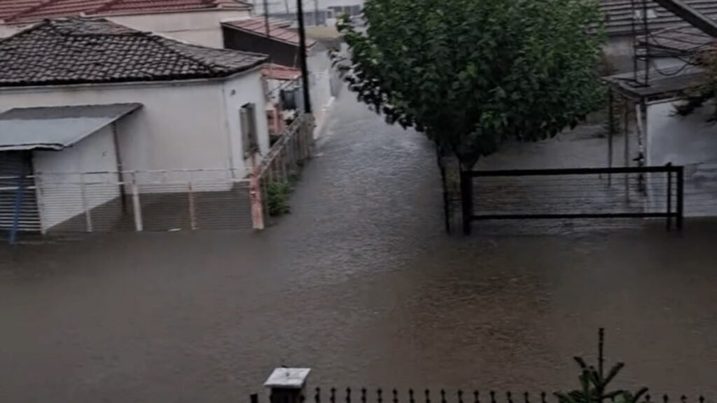karditsa plimmyra