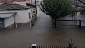 karditsa plimmyra
