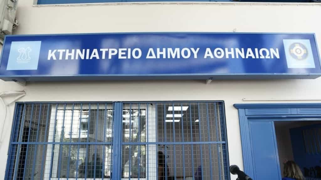 ktiniatreio_dimou_a8inaiwn-min