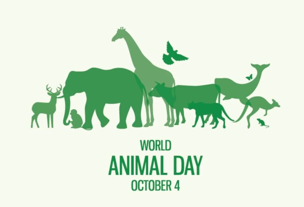 world-animal-day-f-min