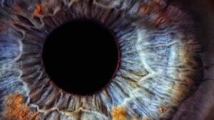eye