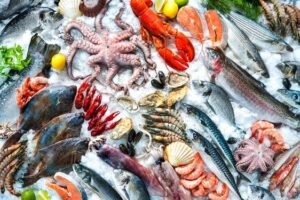 sea food psaria fish (2)