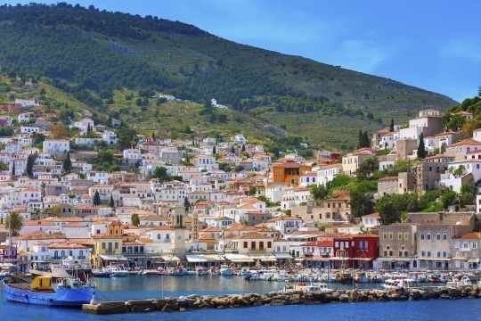 hydra