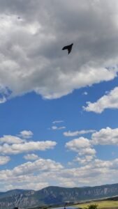 Η Ιορδανία αναχαίτισε drones και πυραύλους στον εναέριο χώρο της