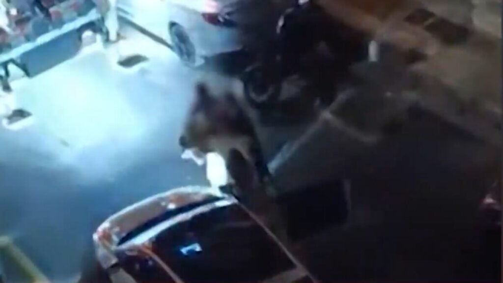 Συνελήφθη ο 34χρονος που ξυλοκόπησε υπάλληλο καθαριότητας στην Κυψέλη