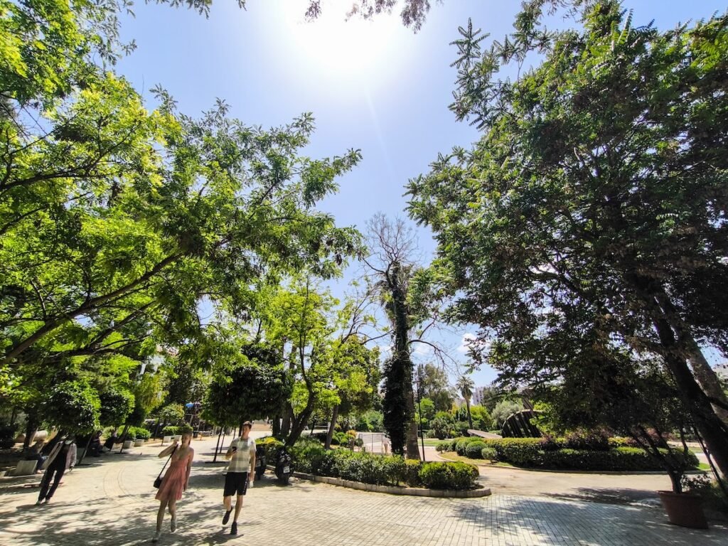 Καιρός: Με ήλιο και μελτέμια το Σάββατο – Πού αναμένονται μπόρες και καταιγίδες
