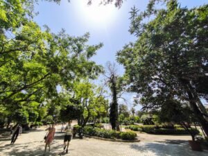 Καιρός: Με ήλιο και μελτέμια το Σάββατο – Πού αναμένονται μπόρες και καταιγίδες