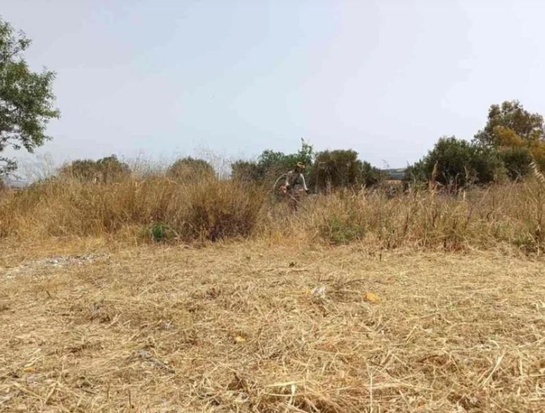 Σχεδόν 702.000 οι δηλώσεις καθαρισμών των οικοπέδων – enikonomia.gr