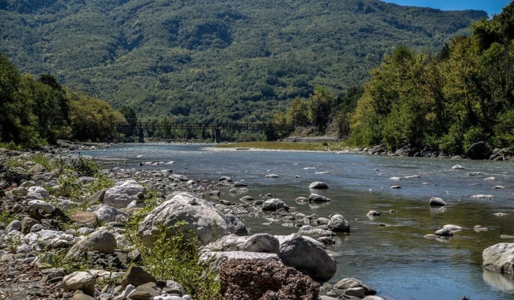Ζωή σε 12 ανθρώπους έδωσαν τα δύο παιδιά που «χάθηκαν» στον Άραχθο – Συγκινημένοι οι λήπτες οργάνων