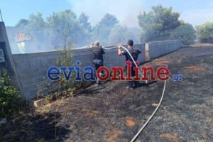 Φωτιά τώρα στην Ερέτρια – Κοντά σε σπίτια οι φλόγες – Μήνυμα από το 112