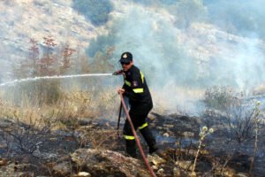 Φωτιά στη Μαζαρακιά Ηγουμενίτσας – Συναγερμός στην Πυροσβεστική