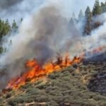 Πυρκαγιά σε δασική έκταση στο Κορωπί