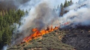Πυρκαγιά σε δασική έκταση στο Κορωπί