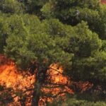 Συναγερμός στη Ρόδο: Μαίνεται φωτιά στα Κοσκινού – Επίμονες οι προσπάθειες κατάσβεσης