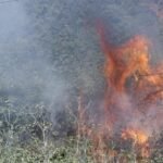 «Συναγερμός στην Πυροσβεστική: 50 αγροτοδασικές πυρκαγιές σε 24 ώρες σε όλη τη χώρα»