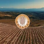 «Σκάνδαλο ΟΠΕΚΕΠΕ: Αποκαλύψεις για Βορίδη και Βάρρα – Οι δηλώσεις τους στον Realfm 97,8»