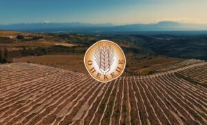 ΟΠΕΚΕΠΕ: Νέες αποκαλύψεις για το σκάνδαλο των παράνομων επιδοτήσεων – Η δικογραφία των 3.000 σελίδων, οι