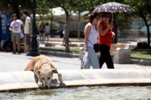 Meteo: Πολύ υψηλή έως ακραία η θερμική επιβάρυνση στο μεγαλύτερο μέρος της χώρας