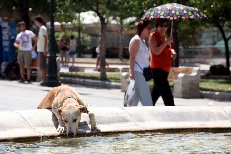 Meteo: Πολύ υψηλή έως ακραία η θερμική επιβάρυνση στο μεγαλύτερο μέρος της χώρας
