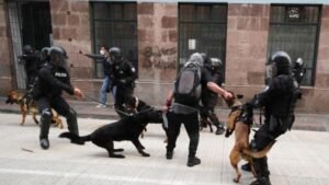 Ισημερινός: Οι αρχές κατέσχεσαν 3 τόνους ναρκωτικών της αλβανικής μαφίας