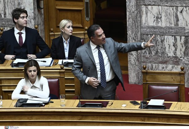 Γεωργιάδης – Αγαπηδάκη στη Βουλή: Έμφαση στο πρόγραμμα «Προλαμβάνω»