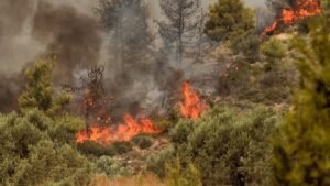 43 αγροτοδασικές πυρκαγιές σε 24 ώρες σε όλη την χώρα,7 σε εξέλιξη