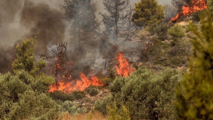 43 αγροτοδασικές πυρκαγιές σε 24 ώρες σε όλη την χώρα,7 σε εξέλιξη