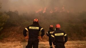 Φωτιά στο Δρέπανο Κοζάνης