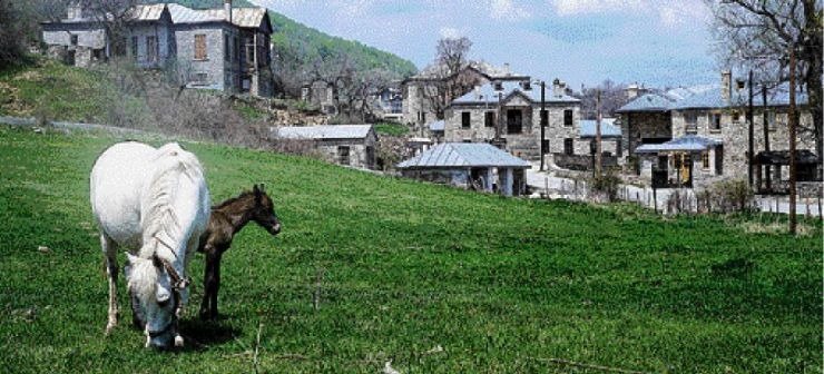Χίος: Κτηνοτρόφοι αποκλείονται από τις αποζημιώσεις καθώς τα βοσκοτόπια είναι καταχωρημένα αλλού