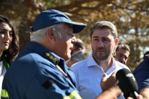 Ανδρουλάκης: «Δεν μπορεί κάθε χρόνο να κλαίμε πάνω από τα καμένα και σε θέματα πρόληψης, η κυβέρνηση να μην