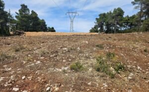 Κεφαλογιάννης: Τα ακαθάριστα οικόπεδα ελέγχονται και τα πρόστιμα επιβάλλονται – Περισσότερες από 5.400