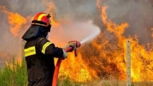 Πυρκαγιά κοντά σε παράδρομο της Αττικής Οδού στο Κορωπί