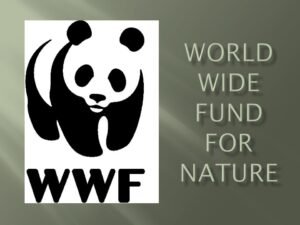 WWF για τα θαλάσσια πάρκα σε Αιγαίο και Ιόνιο: «Σημαντική πρωτοβουλία – Εκκρεμεί συνέχεια για τις υπόλοιπες