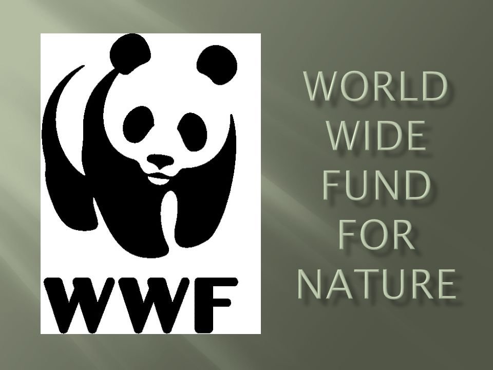 WWF για τα θαλάσσια πάρκα σε Αιγαίο και Ιόνιο: «Σημαντική πρωτοβουλία – Εκκρεμεί συνέχεια για τις υπόλοιπες