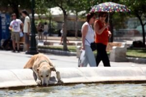 Καύσωνας διαρκείας: Πότε αναμένεται υποχώρηση των πολύ υψηλών θερμοκρασιών