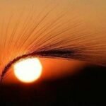 Αίθριος καιρός με βελτιωμένες θερμοκρασίες έως 37°C σε όλη τη χώρα