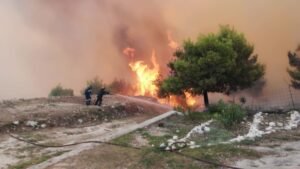 Πυρκαγιά σε δασική έκταση στην Πολυθέα Μεσσηνίας – Μήνυμα του 112