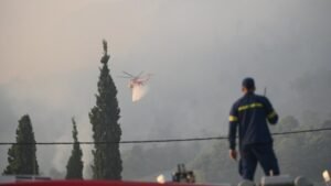 Έρπουσα φωτιά σε δύσβατη περιοχή της Εορδαίας
