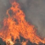 Ξέσπασε Πυρκαγιά στον Ελεώνα Θήβας: Επιχειρούν 37 Πυροσβέστες για την Κατάσβεσή της