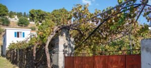 Η Άνδρος στην κορυφή των «μυστικών» ελληνικών νησιών που προτείνονται στους Ευρωπαίους ταξιδιώτες –