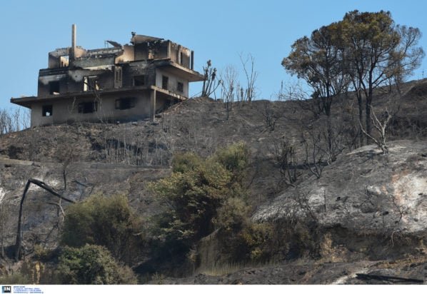 Απαλλαγή από τον ΕΝΦΙΑ για 3 χρόνια σε περιοχές που επλήγησαν από φωτιές – Αναλυτικά όλα τα μέτρα στήριξης