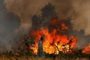 Φωτιές: Έρχονται ανακοινώσεις για νέα μέτρα στήριξης πυρόπληκτών- Όλα όσα είπε ο Κατσαφάδος – enikonomia.gr
