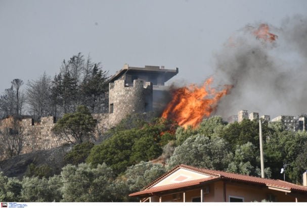 Φωτιές: Σε εξέλιξη οι αυτοψίες στις πληγείσες περιοχές – Πριν από το τέλος Αυγούστου οι πρώτες αποζημιώσεις