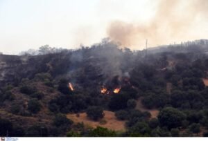 Υπουργείο Πολιτικής Προστασίας: Επιταχύνεται η καταγραφή των ζημιών από τις πυρκαγιές – 33 «κόκκινα» κτίρια